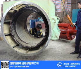 專業維修電機公司 揚州維修電機 精益電機修理 查看