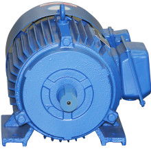  蘇州輕工電機(jī)廠 主營(yíng) y2系列三相交流電動(dòng)機(jī)