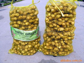 萊蕪市萊城區(qū)振興農(nóng)副產(chǎn)品綜合加工廠官方網(wǎng)站 - 健康零食，源自純正農(nóng)產(chǎn)